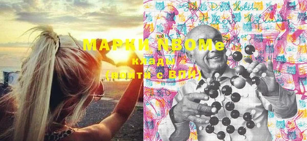 стафф Каменногорск