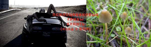 стафф Каменногорск