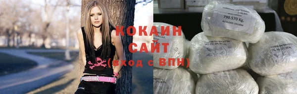 стафф Каменногорск