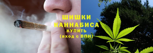 стафф Каменногорск