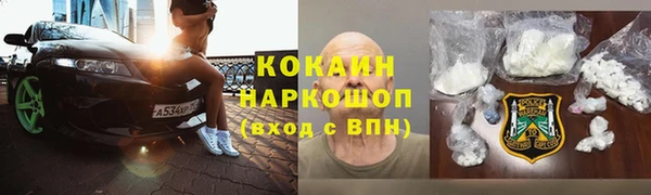 стафф Каменногорск