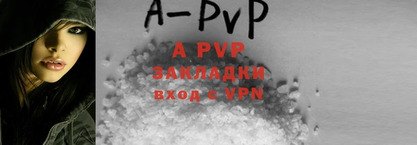 стафф Каменногорск