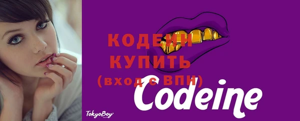 стафф Каменногорск
