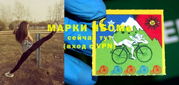 стафф Каменногорск