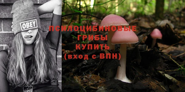 марки lsd Каменка