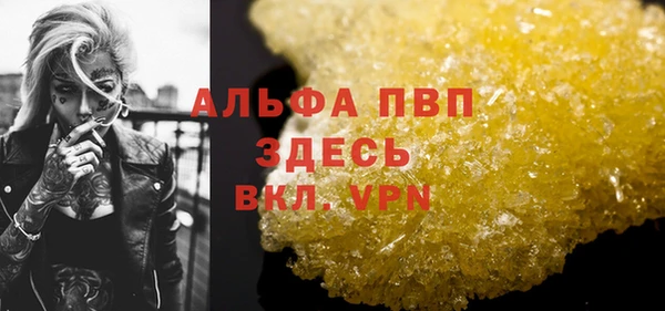 стафф Каменногорск