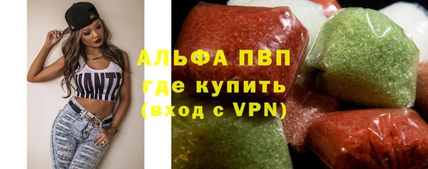 стафф Каменногорск